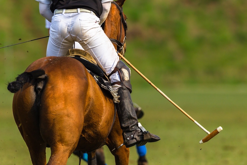 Spotlight on Equestrian Neighborhoods in Palm Beach County